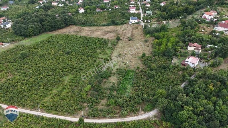 Remax Maviden Doğa Harikası Mesudiye De 6 Adet Villalık Arsa — fotoğraf 11
