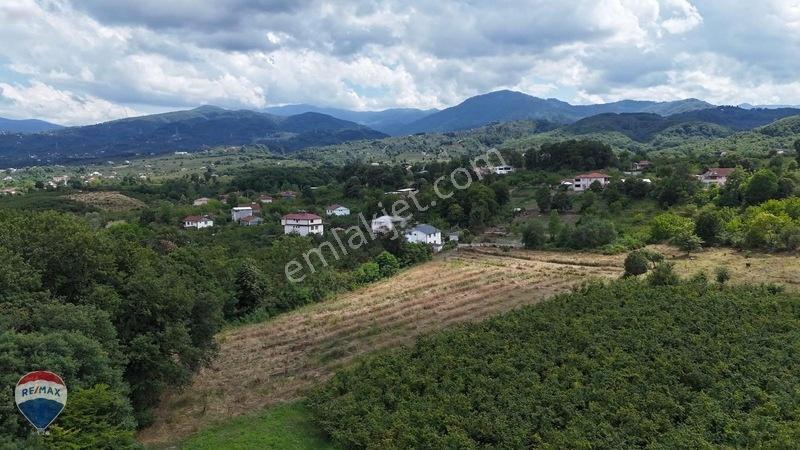 Remax Maviden Doğa Harikası Mesudiye De 6 Adet Villalık Arsa — fotoğraf 12