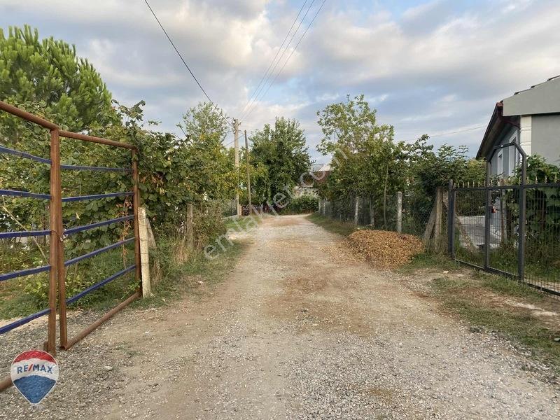 Remax Maviden Doğa Harikası Mesudiye De 6 Adet Villalık Arsa — fotoğraf 16