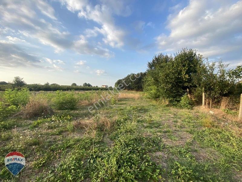 Remax Maviden Doğa Harikası Mesudiye De 6 Adet Villalık Arsa — fotoğraf 18