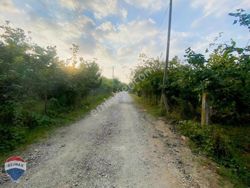 Remax Maviden Doğa Harikası Mesudiye De 6 Adet Villalık Arsa — fotoğraf 19