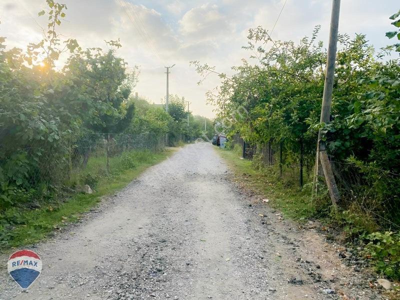 Remax Maviden Doğa Harikası Mesudiye De 6 Adet Villalık Arsa — fotoğraf 22