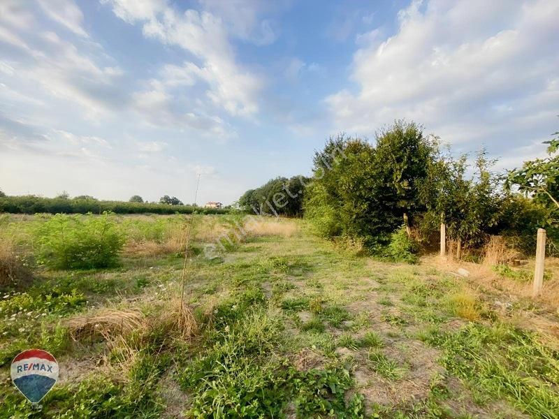 Remax Maviden Doğa Harikası Mesudiye De 6 Adet Villalık Arsa — fotoğraf 23