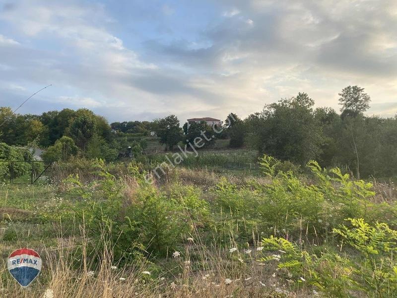 Remax Maviden Doğa Harikası Mesudiye De 6 Adet Villalık Arsa — fotoğraf 25