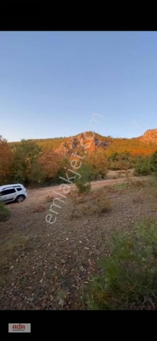 Bilecik Belenalan'Da Yolu Açık, Tek Tapu 1900 M² Kupon Arazi