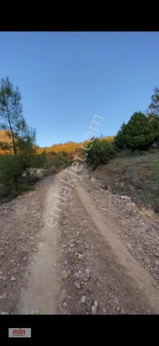 Bilecik Belenalan'da Yolu Açık, Tek Tapu 1900 M² Kupon Arazi — fotoğraf 2