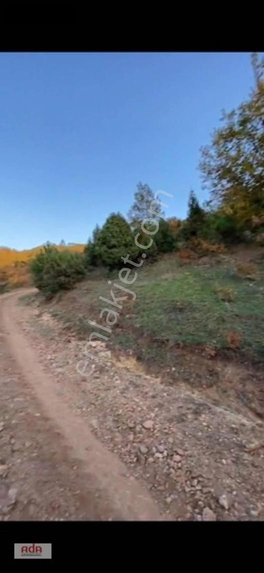 Bilecik Belenalan'da Yolu Açık, Tek Tapu 1900 M² Kupon Arazi — fotoğraf 3