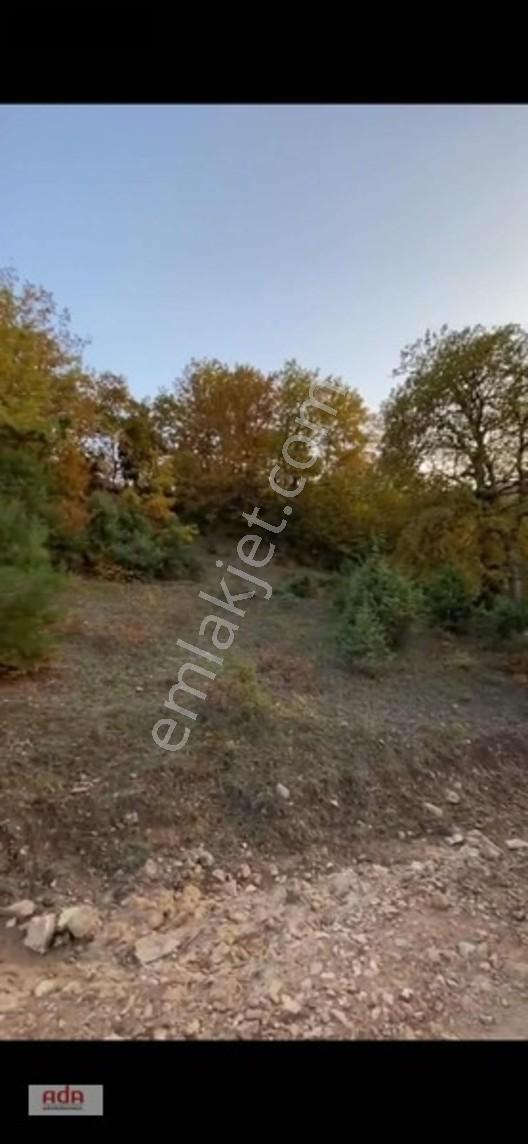 Bilecik Belenalan'da Yolu Açık, Tek Tapu 1900 M² Kupon Arazi — fotoğraf 4