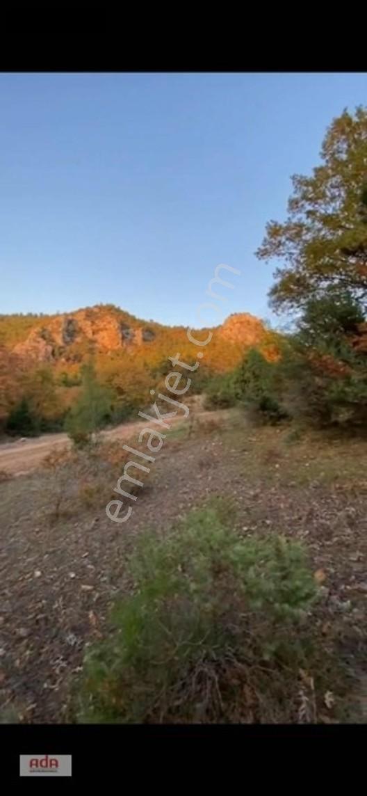 Bilecik Belenalan'da Yolu Açık, Tek Tapu 1900 M² Kupon Arazi — fotoğraf 6