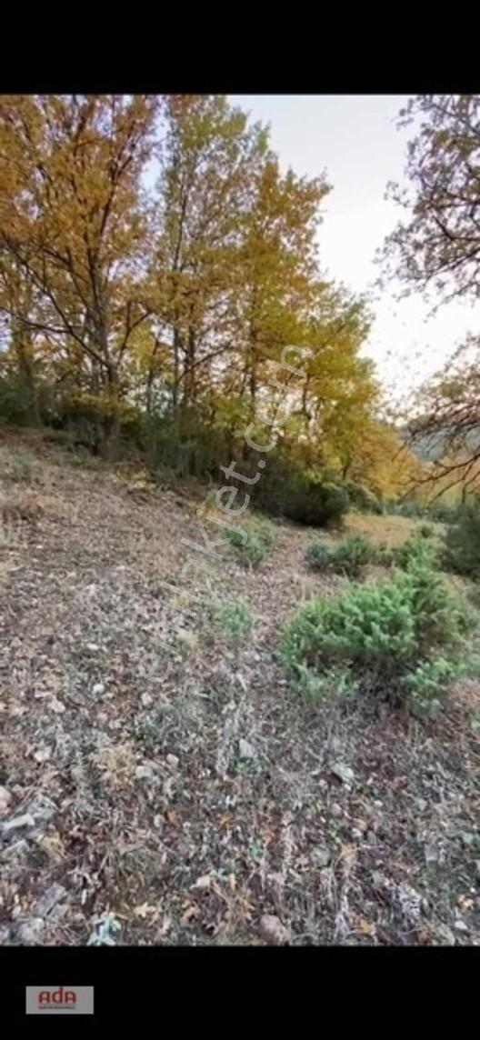 Bilecik Belenalan'da Yolu Açık, Tek Tapu 1900 M² Kupon Arazi — fotoğraf 7