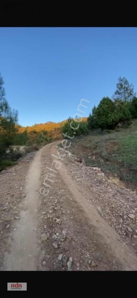 Bilecik Belenalan'da Yolu Açık, Tek Tapu 1900 M² Kupon Arazi — fotoğraf 8
