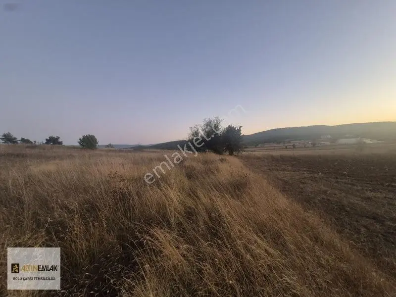 Bolu Gölköy'de Yatırımlık Tarla: Üniversite Ve D100 Yakını, 2.53 — fotoğraf 4