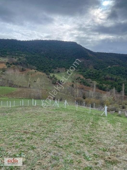 Geyve Karacaören Mahallesinde 833 M² Müstakil Parsel