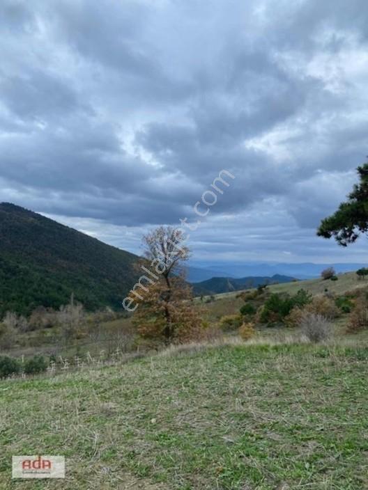 Geyve Karacaören Mahallesinde 833 M² Müstakil Parsel — fotoğraf 2