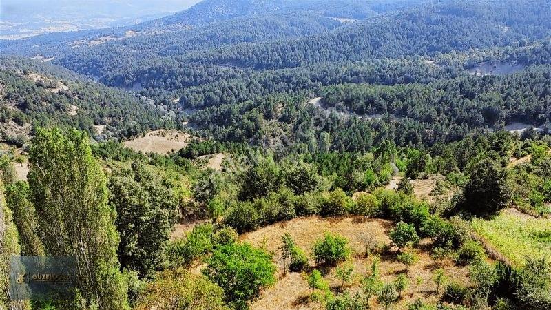 Kütahya Gediz Saruhanlar Köy İçi (272) Metre Kare Hobi Bahçesi — fotoğraf 2