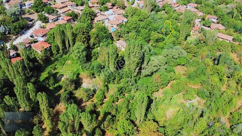 Kütahya Gediz Saruhanlar Köy İçi (272) Metre Kare Hobi Bahçesi — fotoğraf 5
