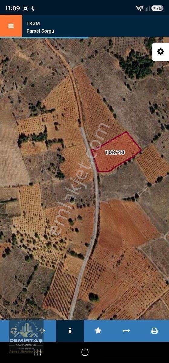 Bekilli Satılık Tarlalar — fotoğraf 2