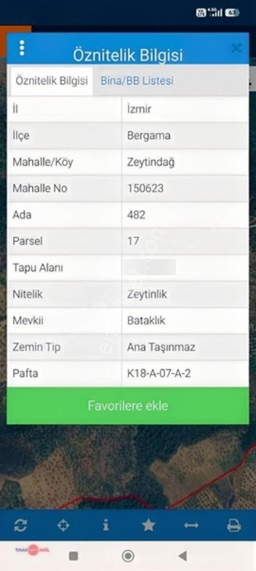 Yatırım Değeri Yüksek Zeytinlik — fotoğraf 6