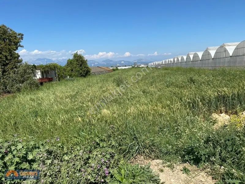 Antalya Aksu Yurtpınarda 6715m Satılık Tarla Yola Cepe