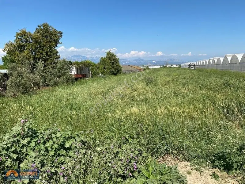 Antalya Aksu Yurtpınarda 6715m Satılık Tarla Yola Cepe — fotoğraf 2