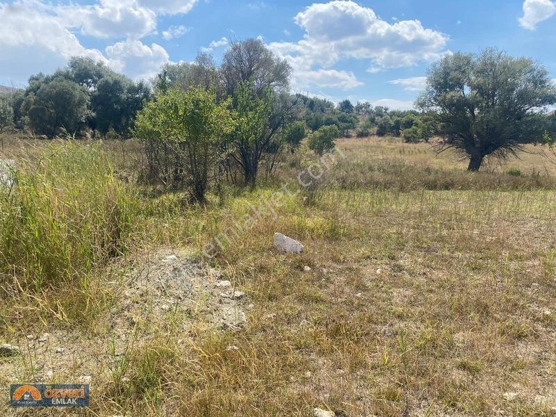 Antalya Korkuteli Kayabaş Da 1300m Satılık Tarla Mustakil Tapu — fotoğraf 7