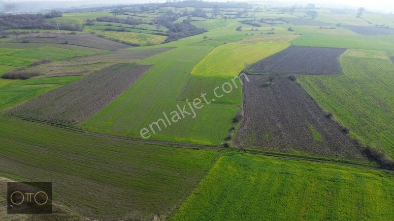 Otto'dan Fırsat Sanayiye Yakın Yolu Olan Tarla — fotoğraf 15