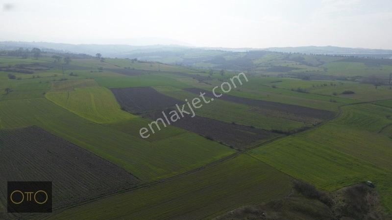 Otto'dan Fırsat Sanayiye Yakın Yolu Olan Tarla — fotoğraf 18