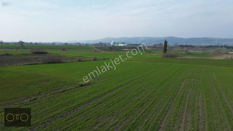 Otto'dan Fırsat Sanayiye Yakın Yolu Olan Tarla — fotoğraf 24
