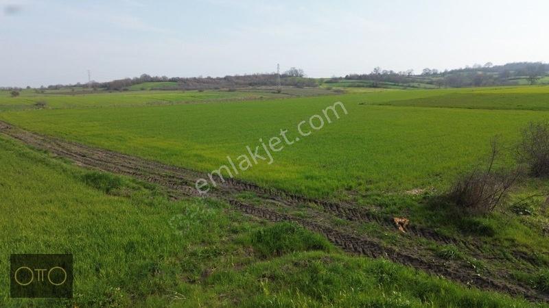 Otto'dan Fırsat Sanayiye Yakın Yolu Olan Tarla — fotoğraf 26