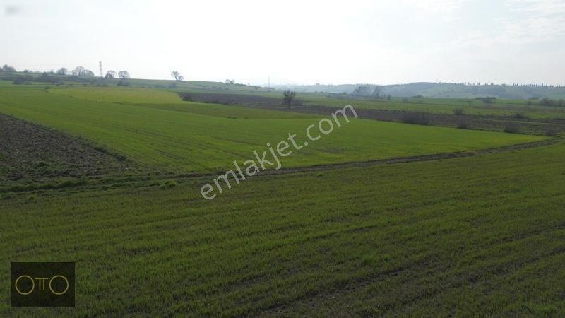 Otto'dan Fırsat Sanayiye Yakın Yolu Olan Tarla — fotoğraf 28