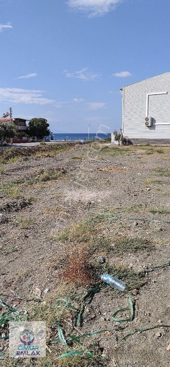 İzmir Seferihisar Ömür Beldesi Satılık Arsa — fotoğraf 4