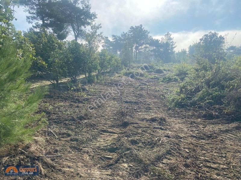 Özveri Emlak'dan Antalya Kaş Uğrar Köyünde 2420m Satılık Tarla