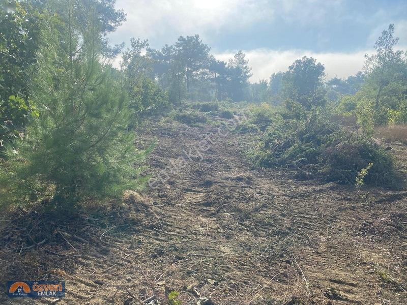 Özveri Emlak'dan Antalya Kaş Uğrar Köyünde 2420m Satılık Tarla — fotoğraf 2