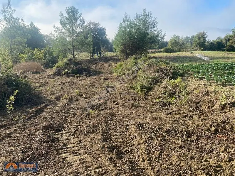 Özveri Emlak'dan Antalya Kaş Uğrar Köyünde 2420m Satılık Tarla — fotoğraf 5
