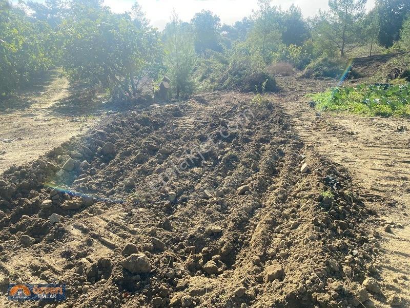 Özveri Emlak'dan Antalya Kaş Uğrar Köyünde 2420m Satılık Tarla — fotoğraf 6