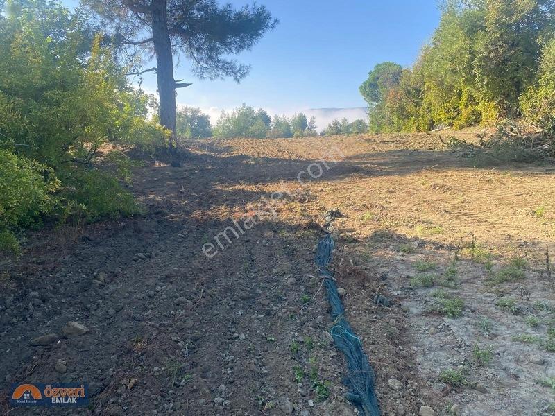 Özveri Emlak'dan Antalya Kaş Uğrar Köyünde 2420m Satılık Tarla — fotoğraf 11