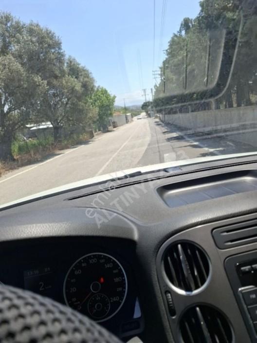 Foça Yeniköyde 367 M2 Zeytinlik Satılıktır — fotoğraf 22