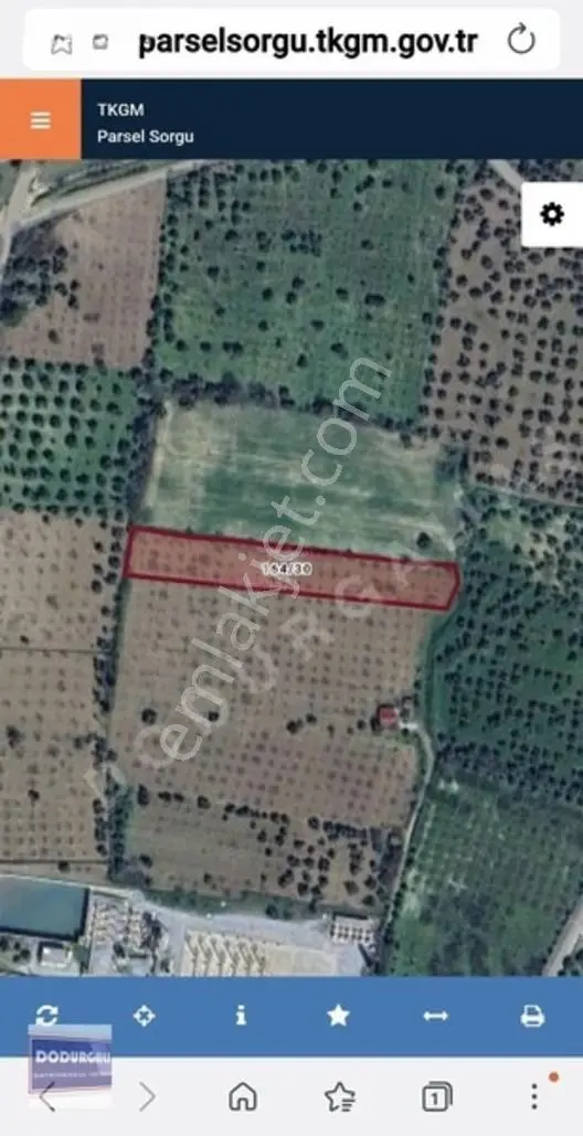 Satılık İncir Bahçesi — fotoğraf 2