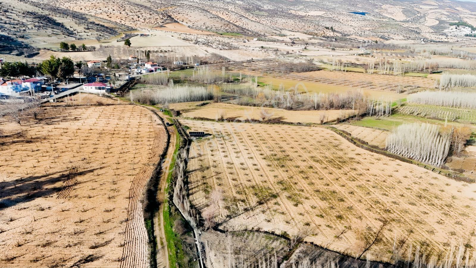 Hakev'den Aşağı Azaplı Köyü Bitişiğinde Hurma Bahçesi — fotoğraf 12