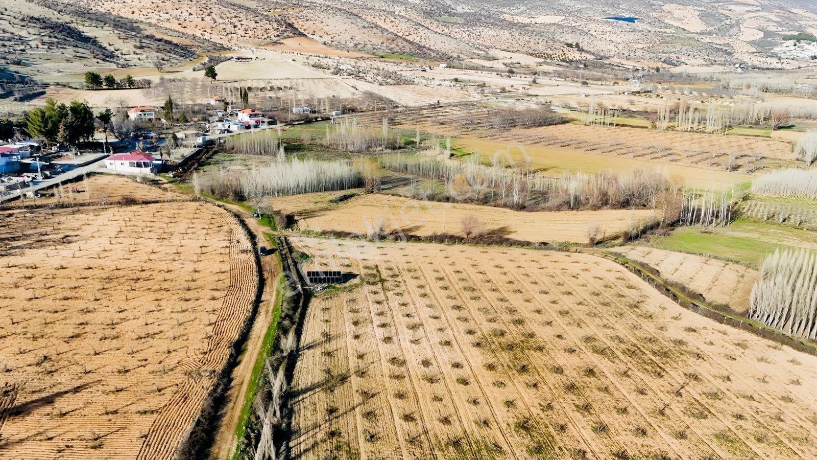 Hakev'den Aşağı Azaplı Köyü Bitişiğinde Hurma Bahçesi — fotoğraf 15