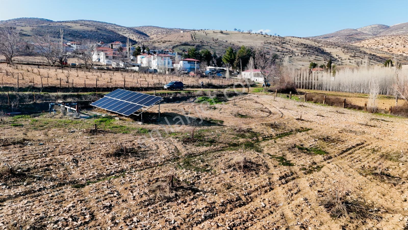 Hakev'den Aşağı Azaplı Köyü Bitişiğinde Hurma Bahçesi — fotoğraf 16
