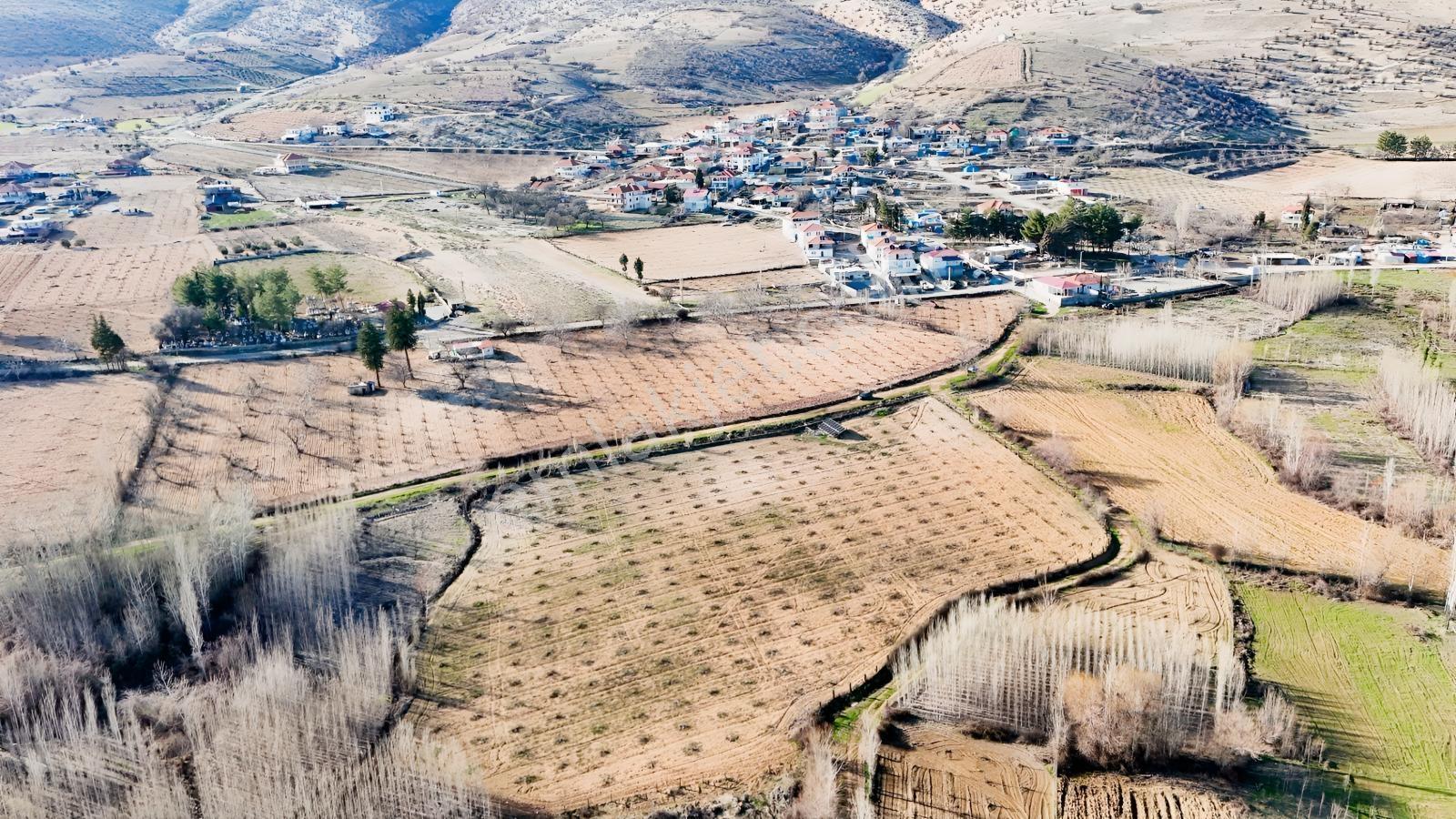 Hakev'den Aşağı Azaplı Köyü Bitişiğinde Hurma Bahçesi — fotoğraf 27
