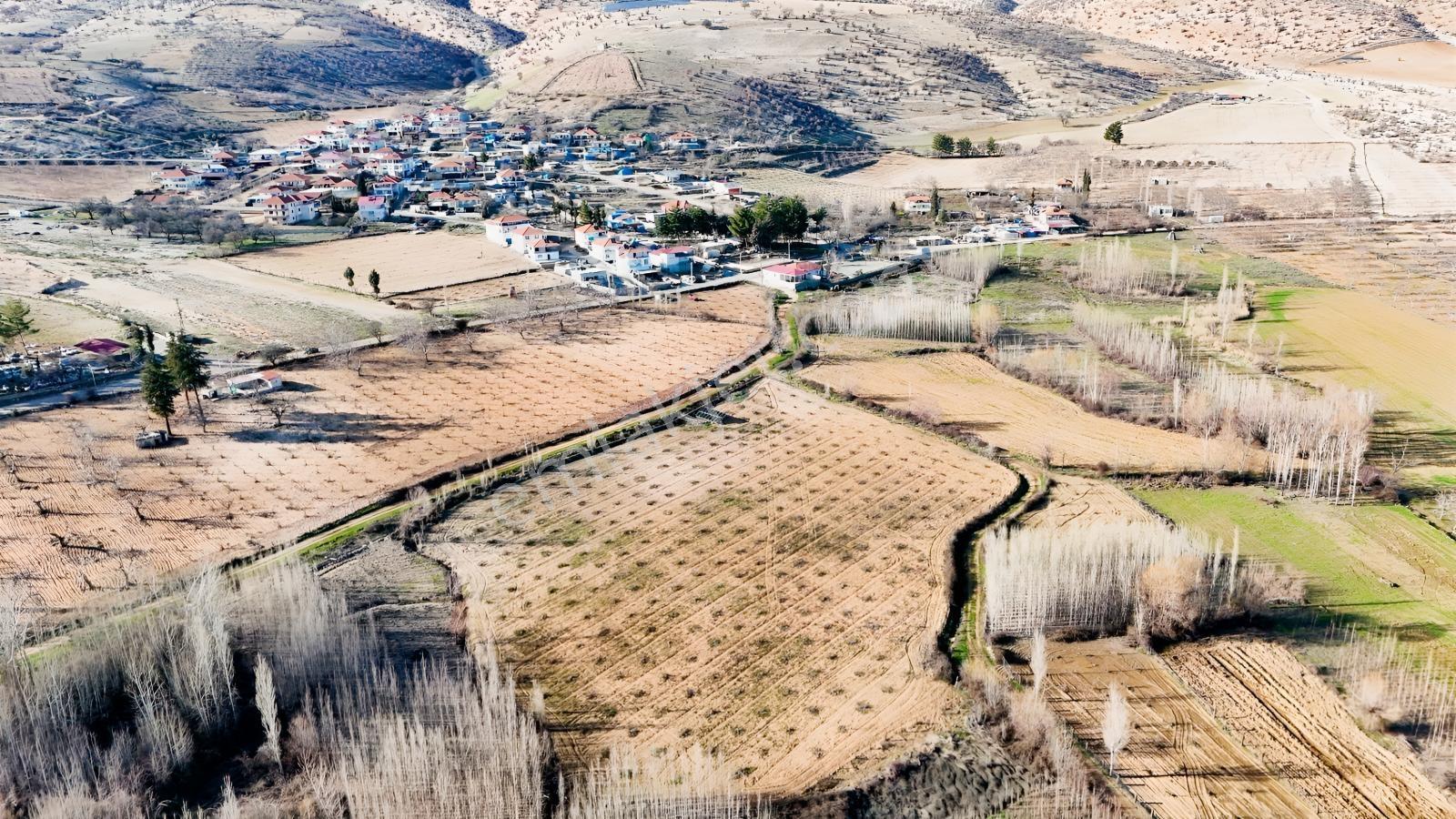 Hakev'den Aşağı Azaplı Köyü Bitişiğinde Hurma Bahçesi — fotoğraf 28