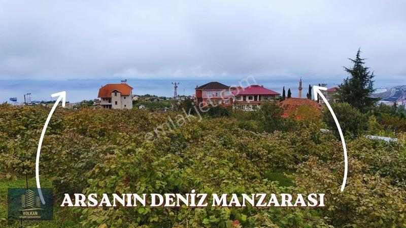 Vyg'den Akyazıda Satılık Konut İmarlı Arsa — fotoğraf 3
