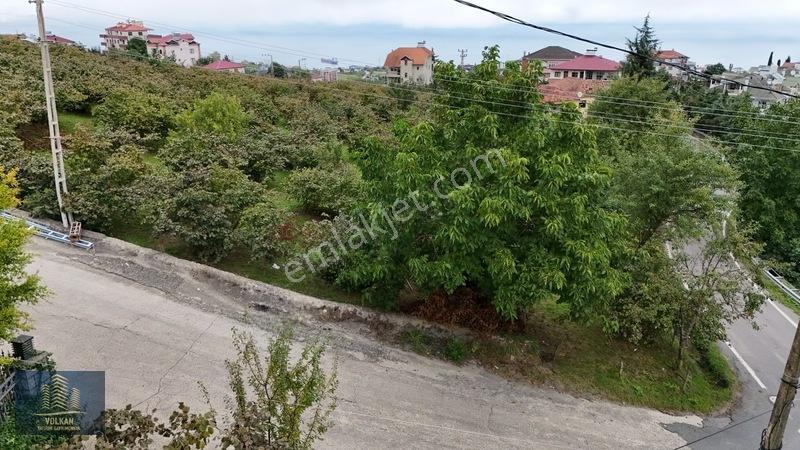 Vyg'den Akyazıda Satılık Konut İmarlı Arsa — fotoğraf 4