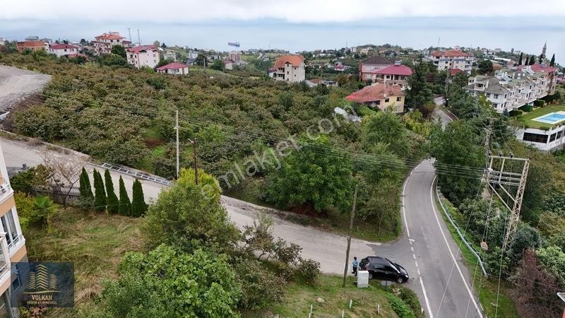 Vyg'den Akyazıda Satılık Konut İmarlı Arsa — fotoğraf 5