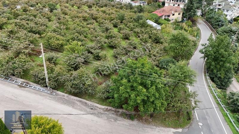 Vyg'den Akyazıda Satılık Konut İmarlı Arsa — fotoğraf 6
