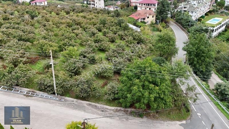 Vyg'den Akyazıda Satılık Konut İmarlı Arsa — fotoğraf 8