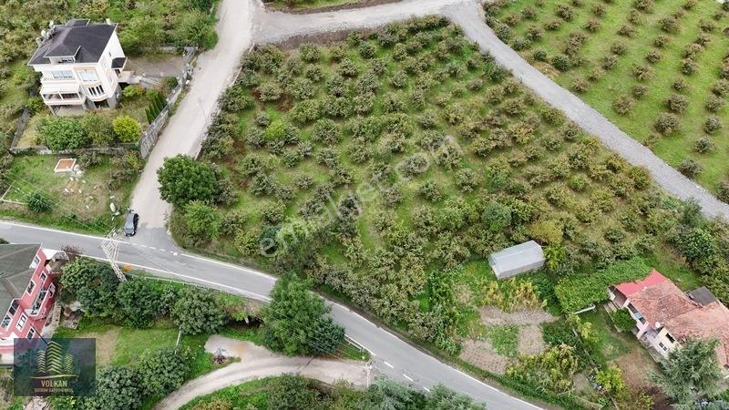 Vyg'den Akyazıda Satılık Konut İmarlı Arsa — fotoğraf 9