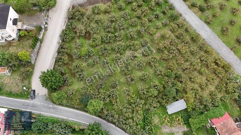 Vyg'den Akyazıda Satılık Konut İmarlı Arsa — fotoğraf 10